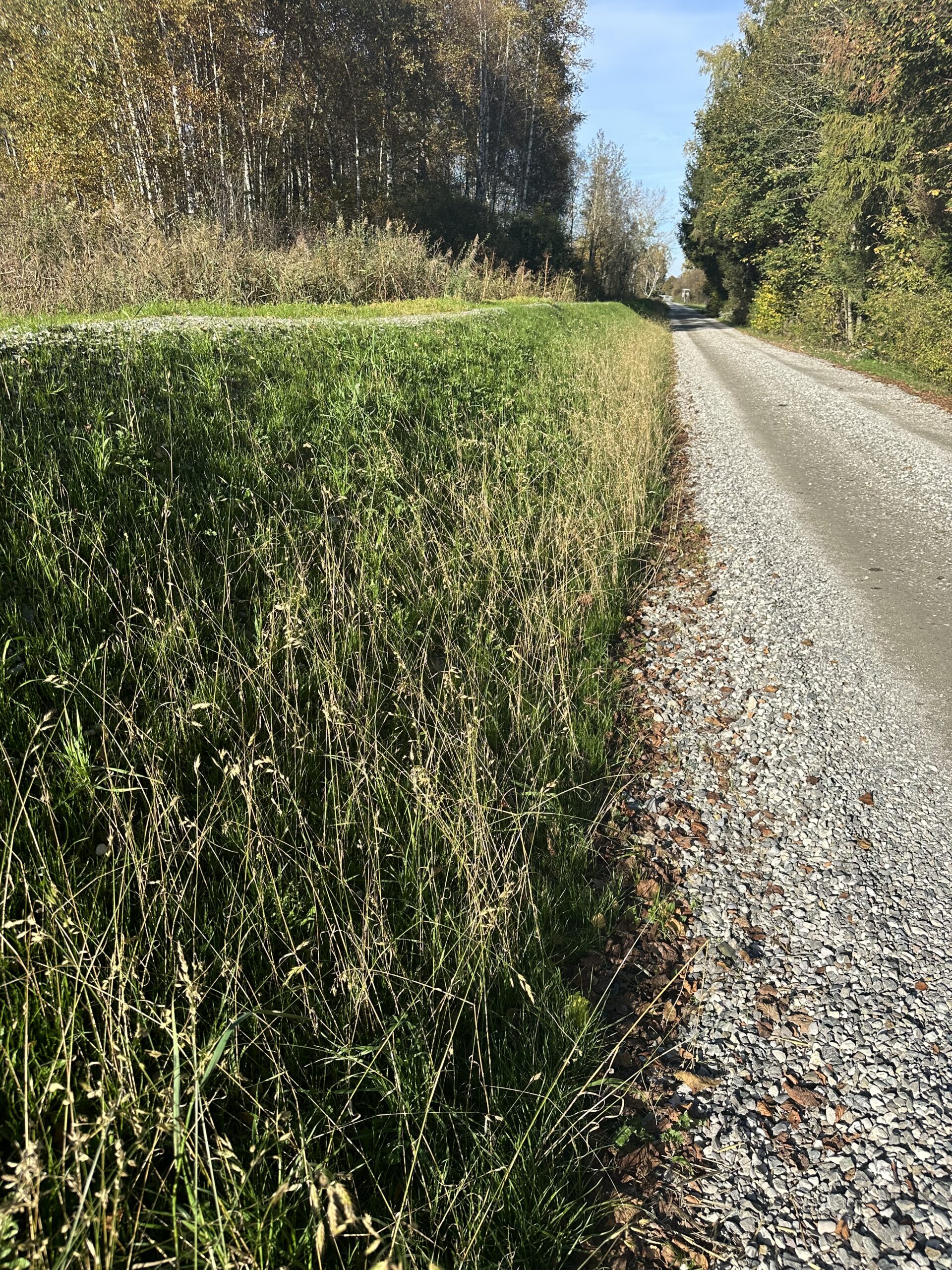 Our Approach — Concept. Engineering. Execution.