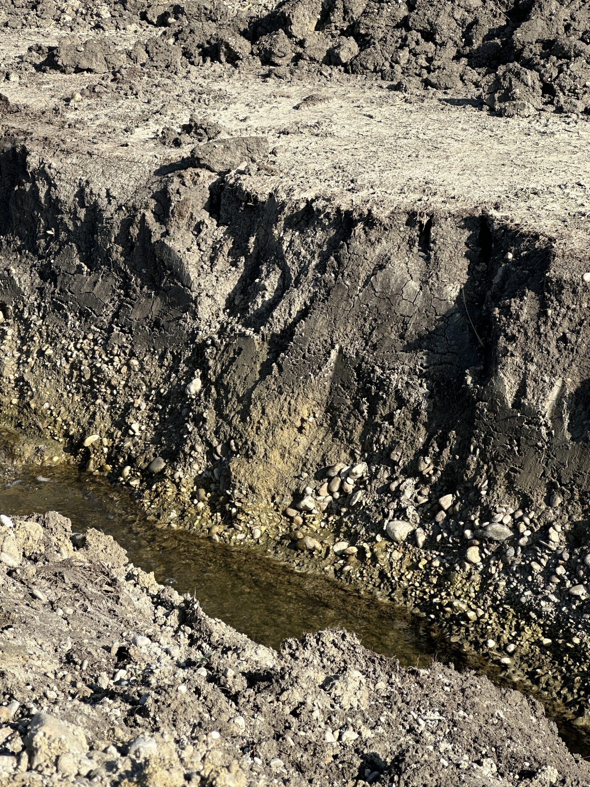 GASBE — Global Alliance of Soil Bioengineering Experts