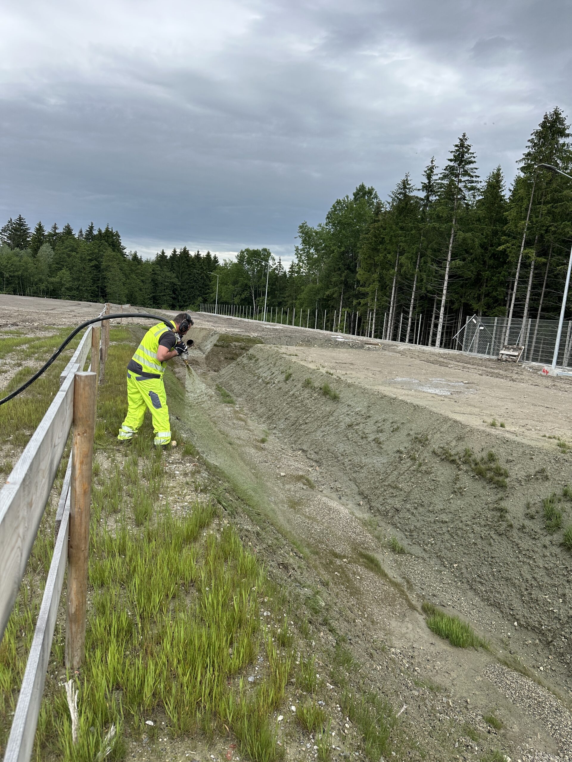 Market Development Support — Territorial Structure and Co-Branding